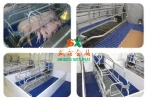 2018 Philippines Farrowing Crate De Vânzare