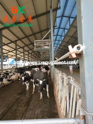 Farm Dairy Bovine Free Stall Echipament